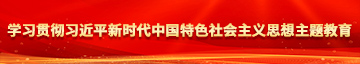 www.草逼逼学习贯彻习近平新时代中国特色社会主义思想主题教育