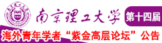 操女人b视平一南京理工大学第十四届海外青年学者紫金论坛诚邀海内外英才！